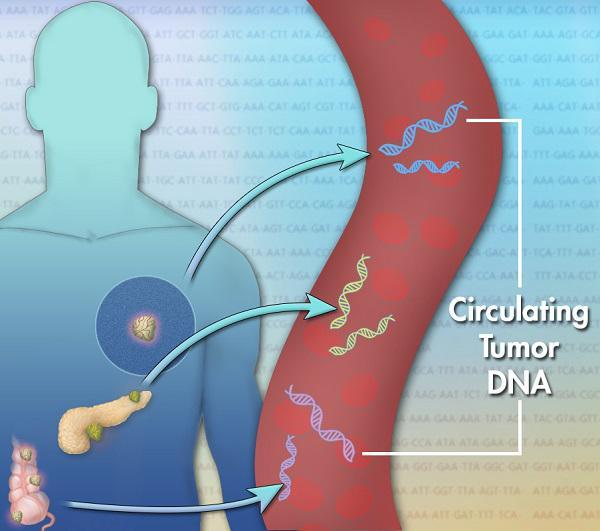 Cancer Detection Through Analysis of Circulating Tumor DNA